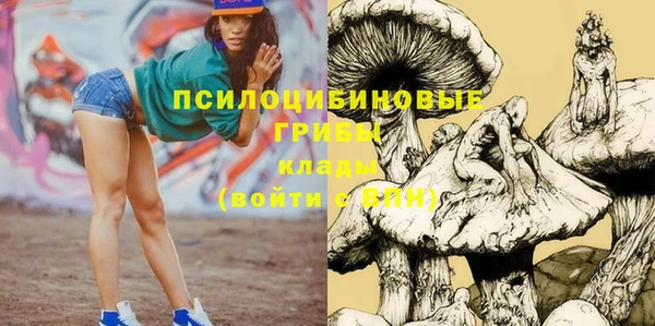 прущие грибы Куйбышев