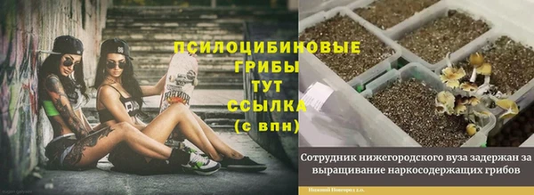 кокс Верея
