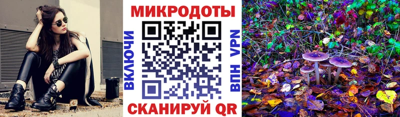 нарко площадка наркотические препараты  Заволжск  Галлюциногенные грибы GOLDEN TEACHER  где купить наркотик 